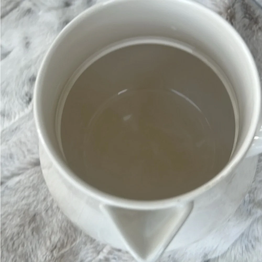 Williams Sonoma Bonjour Ceramic Hot Chocolate Pitcher -